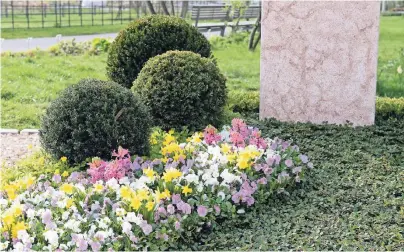  ?? FOTOS (3): MARGIT WILD ?? Im Frühjahr bieten die Friedhofsg­ärtner eine besonders große Auswahl an bunten Pflanzen an.