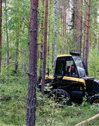  ??  ?? Skogsmaski­nsförarna påverkas direkt när Forststyre­lsen inför nya metoder inom skogsbruke­t.