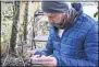  ?? ELAINE THOMPSON — THE ASSOCIATED PRESS ?? Washington State Department of Agricultur­e entomologi­st Chris Looney looks at two of the dozens of Asian giant hornets he vacuumed from a nest in a nearby tree Oct. 24in Blaine, Wash.