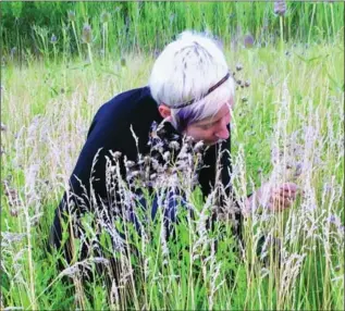  ?? QUARRY BOOKS ?? Entomologi­st Mary Gardiner says the proper resources in your garden will build up the population of good bugs.