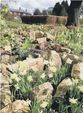  ??  ?? GREEN SHOOTS: Ellerker House at Everingham, York, is due to open to visitors next Saturday.