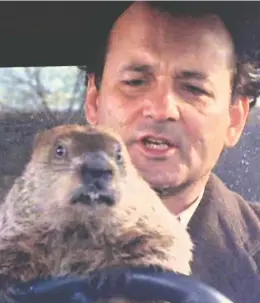  ?? SONY PICTURES HOME ENTERTAINM­ENT ?? Most estimates of exactly how long Bill Murray's character, Phil Connors, was stuck in his Groundhog Day time loop are based on how long it takes to learn new skills.