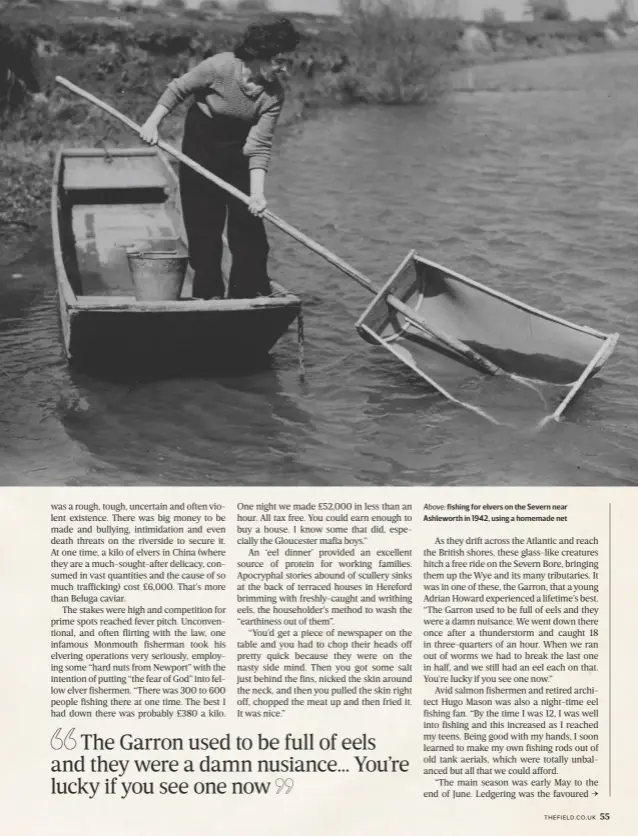  ??  ?? Above: fishing for elvers on the Severn near Ashleworth in 1942, using a homemade net