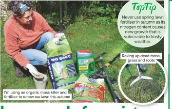  ??  ?? I’m using an organic moss killer and fertiliser to renew our lawn this autumn
Raking up dead moss, grass and roots