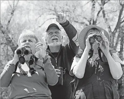  ?? [ANDY MORRISON/THE BLADE] ?? Sandra Sutherland, left, of Earlysvill­e, Va., and Joe and Liz Sutter, of St. Germain, Wis., search the trees during a birdwatchi­ng trip. They were at Metzger Marsh Wildlife Area in northweste­rn Ohio on May 1.