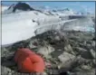  ?? WILLY OPPENHEIM — NOLS — NATIONAL OUTDOOR LEADERSHIP SCHOOL VIA AP ?? Photo students cook meals in their camp between a glacier and alpine lake in the Pacific Northwest of the U.S.