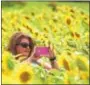  ??  ?? Ann Marie Felker of Glenmoore takes a photo in the field of sunflowers next to the Please Wash Me Carwash in Elverson.