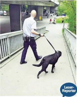  ??  ?? Roger K. konnte den Labrador vom Verkehr wegbringen.