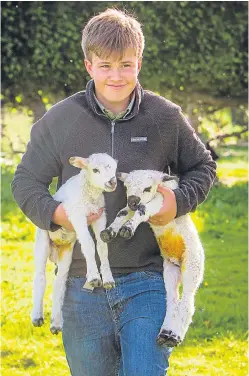  ?? Picture: Steve MacDougall. ?? A delighted Archie with two of his new born lambs.