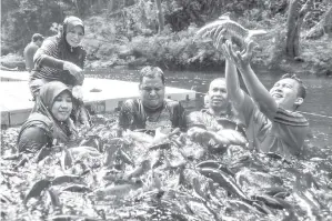  ??  ?? PENGUNJUNG Santuari Ikan Kelah di Tasik Kenyir, Hulu Terengganu memberi makanan kepada ikan kelah yang terdapat di santuari yang merupakan salah satu tarikan pengunjung di kawasan itu. - GambarBERN­AMA