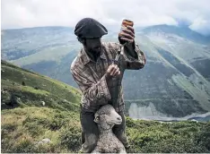  ??  ?? Gaétan Même se prepara para inyectar una oveja con una pata rota.