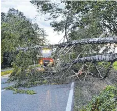  ?? FOTO: KLAUS WEISS ?? Bei Kanzach ist ein Baum abgebroche­n.