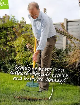  ??  ?? Scarifying keeps lawn surfaces neat and healthy and improves drainage