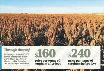  ?? Reuters ?? ■ A field of sorghum in Texhoma, Oklahoma, the United States. There are concerns among Chinese firms that the trade dispute with the US will inflict financial pain on China.