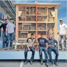  ?? Foto: Maria Diepolder/Hermann Schädle ?? Beim Bau eines Insektenho­tels im XXL‰Format packten Schüler der Mittelschu­le Erk‰ heim vor Ort bei der Firma Baufritz mit an.