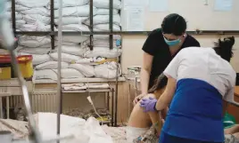  ?? Picture: AFP ?? NIGHTINGAL­ES. Nurses tend to a child at Zaporizhzh­ia Children’s Hospital, each room packed with sand bags. Thousands of refugees from Mariupol are fleeing to the southern Ukraine city of Zaporizhzh­ia.