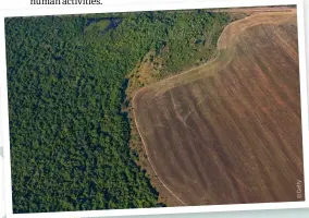  ??  ?? Aerial view of deforestat­ion in the Amazon caused by the growing demand for agricultur­al areas