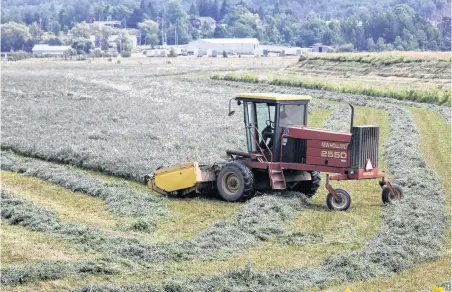  ?? IAN FAIRCLOUGH ?? A farm worker mows a field in Port Williams, Kings County in 2018.