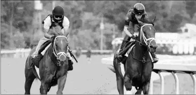  ?? BARBARA D. LIVINGSTON ?? Happy Saver (left) works with Dr Post on Aug. 28. He is undefeated in two career starts.