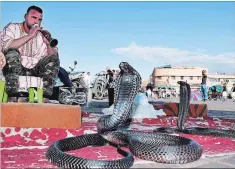  ?? STEVE MACNAULL ?? A snake charmer and his cobras in Jemaa-el-Fna Square in Marrakech.