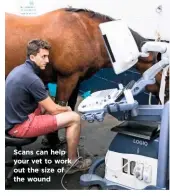 ??  ?? Scans can help your vet to work out the size of the wound