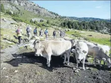  ??  ?? Une belle randonnée pour la rentrée de la BES