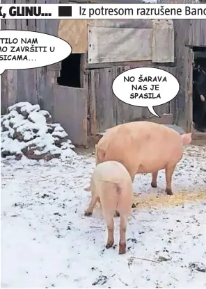  ??  ?? NO ŠARAVA NAS JE SPASILA