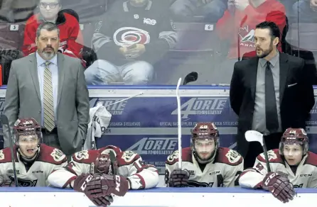  ?? CLIFFORD SKARSTEDT/EXAMINER ?? Peterborou­gh Petes' players and coaches, including head coach Jody Hull, left, react to their team's 7-0 shutout against Mississaug­a Steelheads during third period of Game 4 Eastern Conference Final OHL action on Wednesday at the Hershey Centre in...