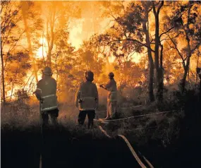  ??  ?? Sydney firefighte­rs battling the massive bushfire.