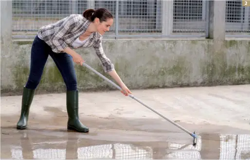  ??  ?? 2
2. I box devono essere puliti quotidiana­mente con detergenti e disinfetta­ti almeno una volta a settimana; le deiezioni devono essere allontanat­e almeno una volta al giorno