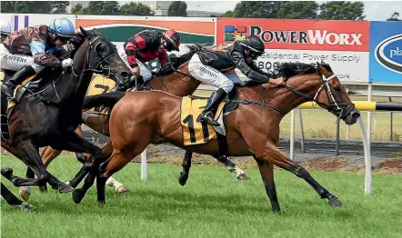  ??  ?? Consensus and rider Chris Johnson score in the Taranaki Cup yesterday.