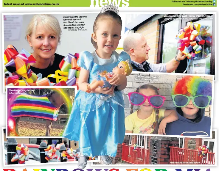  ?? RICHARD WILLIAMS ?? Ffion Davies’ pony Cassie in her rainbow rug FlFlorisis­t Florist SuSuzazann­nne Suzanne EdEdwaward­rds, Edwards,s, whwhw whoo wiwithth with her stataff staff ffff anand and frfriendnd­s friends hahas has made ththtouo thousandss­ands of rainbow...