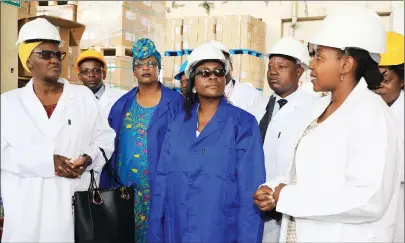  ??  ?? HARD HAT AREA . . . Members of the Parliament­ary Portfolio Committee on Health and Child Care, led by committee chairperso­n Dr Ruth Labode (left), are taken on a tour of the NatPharm warehouse in Harare yesterday by stores pharmacist Ms Rumbidzai Kanhema (right). — (Picture by Memory Mangombe)