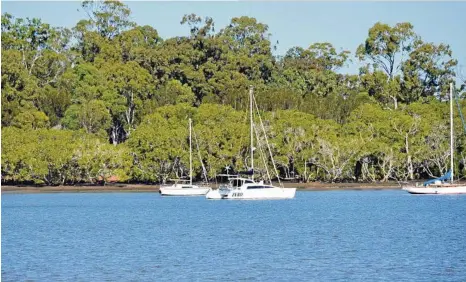  ?? PHOTO: ANDREA DAVY ?? Pretty Produce is based on Lamb Island, off the coast of Brisbane.