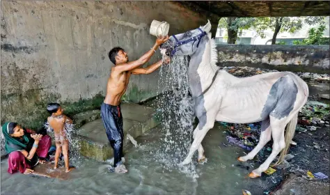  ??  ?? A man washes a horse as a woman bathes her son at concrete water pens under a flyover at a slum in Kolkata on Friday. REUTERS