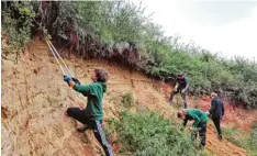  ?? Foto: Uli Winkler ?? Durch die Freilegung der steilen Wände im Geotop Glaubenber­g wurden mögliche Nistplätze für die vom Aussterben bedrohten Wildbienen geschaffen.