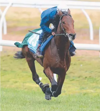  ?? Picture: AAP IMAGE ?? Hugh Bowman works Marmelo at Werribee yesterday.