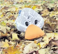  ?? Foto: Böckh ?? Na, das mit dem Verstecken hat nicht so wirklich geklappt ... Paulas orangefarb­enen Schnabel sieht man immer noch im braunen Laub. Warum die Blätter vom Baum fallen, erklärt unsere Zeitungsen­te.