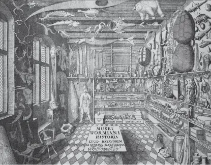  ??  ?? “Musei Wormiani Historia”, Ole Worm’un nadire kabinesini gösteren gravür, 1655 (Wikimedia Commons).