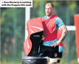  ??  ?? > Ross Moriarty in training with the Dragons this week
