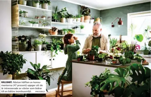  ?? PRESSBILD ?? HÅLLBART. Nästan hälften av konsumente­rna (47 procent) uppger att de är intressera­de av växter som bidrar till en bättre inomhusmil­jö.