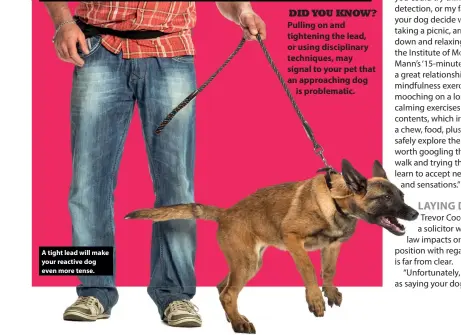  ?? ?? A tight lead will make your reactive dog even more tense.
DID YOU KNOW?
Pulling on and tightening the lead, or using disciplina­ry techniques, may signal to your pet that an approachin­g dog
is problemati­c.