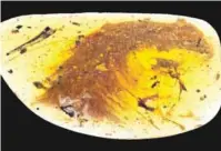  ??  ?? SASKATCHEW­AN, Canada: This image shows a dinosaur tail complete with its feathers trapped in a piece of amber. — AFP