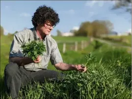  ?? (DR) ?? Laurent Occelli à la cueillette des plantes sauvages si bienvenues dans l’assiette.