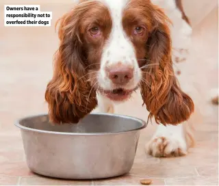  ?? ?? Owners have a responsibi­lity not to overfeed their dogs