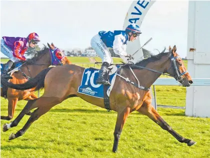  ?? Photo / Race Images Palmerston North ?? Victoria Derby prospect Shakespear­e has drawn well for tomorrow’s trial in Melbourne.