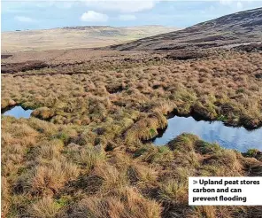  ??  ?? > Upland peat stores carbon and can prevent flooding