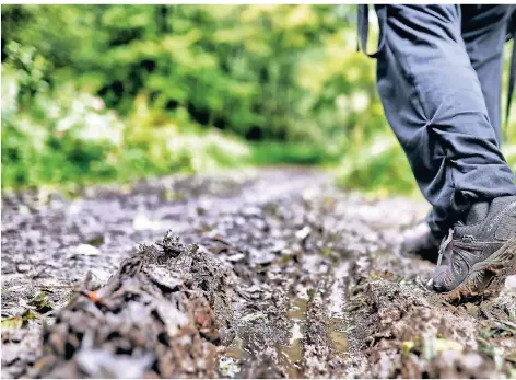  ?? FOTO: STEPHAN KÖHLEN ?? Die Ersatzrout­e des Wanderwegs A1 ist durch den Regen der vergangene­n Tage aufgeweich­t und an einigen Stellen matschig.