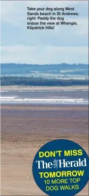  ??  ?? Take your dog along West Sands beach in St Andrews; right: Paddy the dog enjoys the view at Whangie, Kilpatrick Hills!