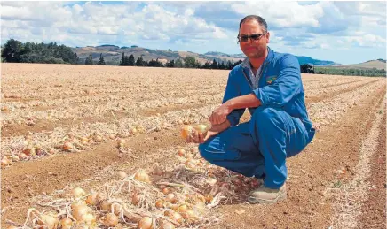  ??  ?? Crop concern: Jivan Produce’s Bharat Jivan, president of Pukekohe Vegetable Growers Associatio­n, examines some of his onions after the particular­ly dry January.